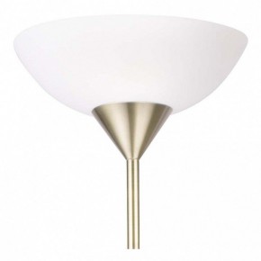 Торшер с подсветкой Arte Lamp Duetto A9569PN-2AB в Можге - mozhga.mebel24.online | фото 5