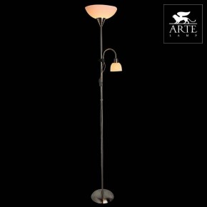 Торшер с подсветкой Arte Lamp Duetto A9569PN-2SS в Можге - mozhga.mebel24.online | фото 3