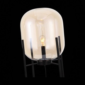 Торшер ST-Luce Burasca SL1050.525.01 в Можге - mozhga.mebel24.online | фото 7