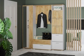 Тумба для обуви НМ 013.25 "Санти" (Белый/Крафт Золотой) в Можге - mozhga.mebel24.online | фото 3