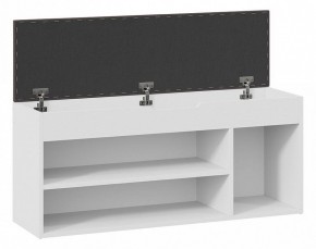 Тумба для обуви Тип 12 в Можге - mozhga.mebel24.online | фото 4