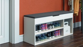 Тумба для обуви Тип 12 в Можге - mozhga.mebel24.online | фото 6