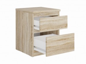 Тумба КАСТОР малая с двумя ящиками, цвет Дуб Сонома в Можге - mozhga.mebel24.online | фото 2