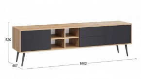Тумба под ТВ Тип 5 в Можге - mozhga.mebel24.online | фото 6