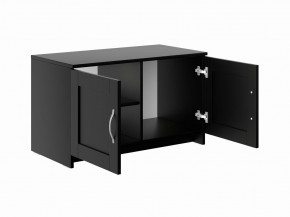 Тумба СИРИУС двухдверная низкая, цвет Дуб Венге в Можге - mozhga.mebel24.online | фото 3