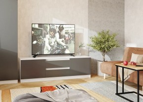 Тумба ТВ большая Парус (Белый/Графит) в Можге - mozhga.mebel24.online | фото 2