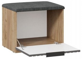 Тумбочка для обуви Хилтон Исп 2.1 в Можге - mozhga.mebel24.online | фото 2