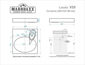 Умывальник над стиральной машиной (600*545*80) Смайл V55D1 (белый) с кронштейном без сифона (V55D1) в Можге - mozhga.mebel24.online | фото 2