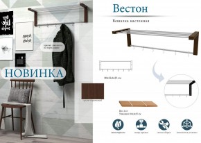 Вешалка-полка Вестон в Можге - mozhga.mebel24.online | фото 3